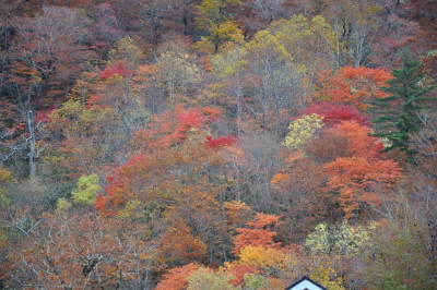2011_10210031.JPG