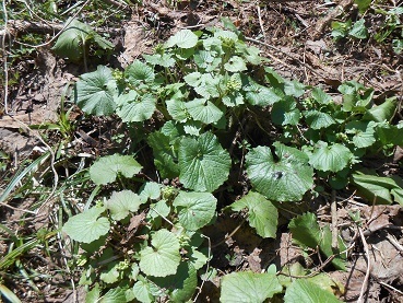 DSCN0557.JPG