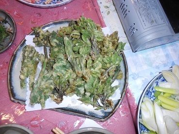 DSCN0579.JPG