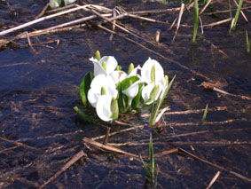 09041302.jpg