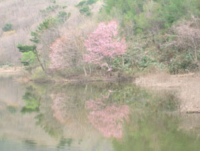 09050802.jpg