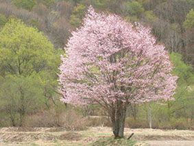 09050804.jpg