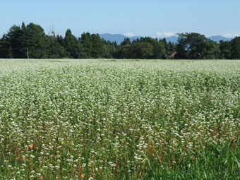 09090802.jpg