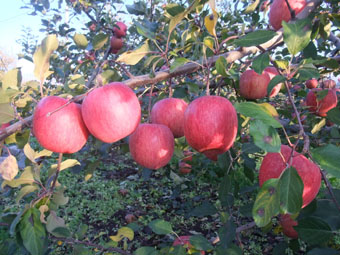 09111204.jpg