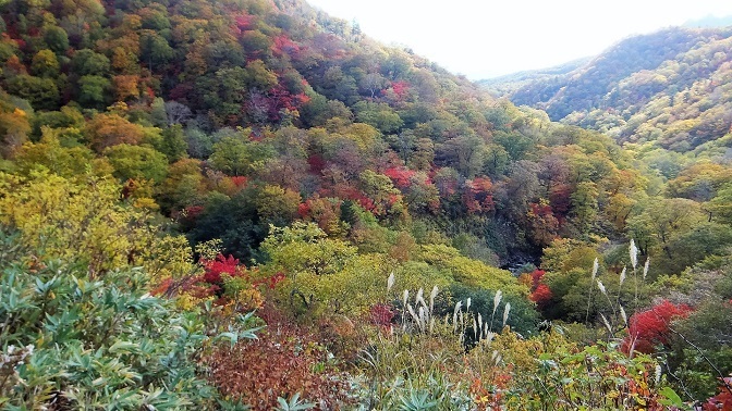 DSCF2333.JPG