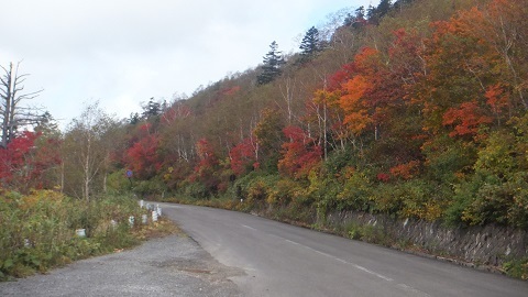 DSCF2624.JPG