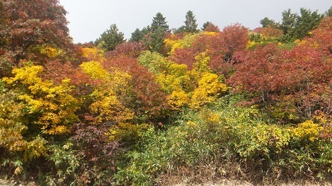DSCF2629.JPG