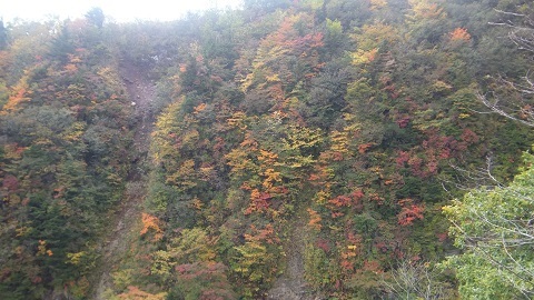 DSCF2630.JPG