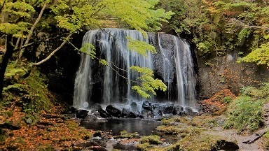 DSCF2639.JPG