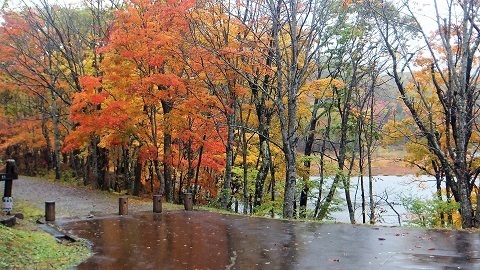 DSCF2645.JPG
