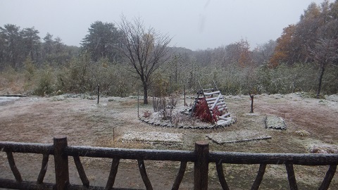 DSCF2650.JPG