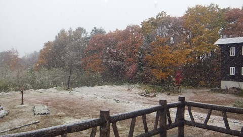 DSCF2651.JPG