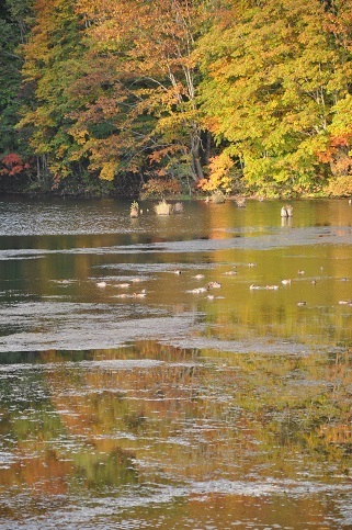 DSC_0011.JPG