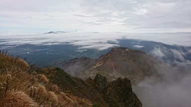 DSC_3976.JPG